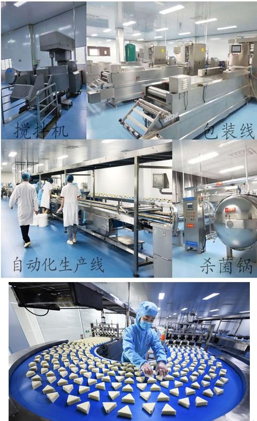 疫情不阻扶贫路 森乐食品保业增收与文物保护工程设计