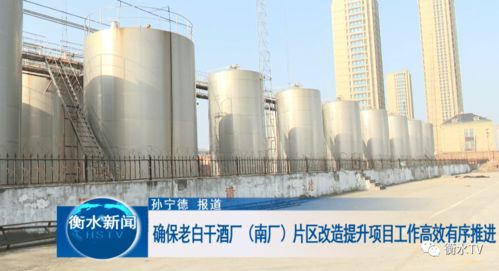 科学统筹与精心勘察 高效推进老白干酒厂南厂片区改造提升中的文物保护工程